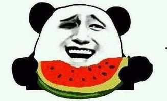 娱乐吃瓜君遛鸟大师是谁