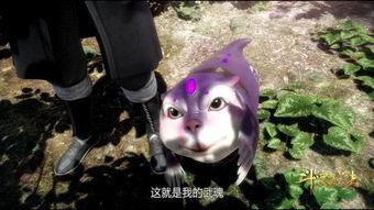 娱乐吃瓜君遛鸟大师是谁